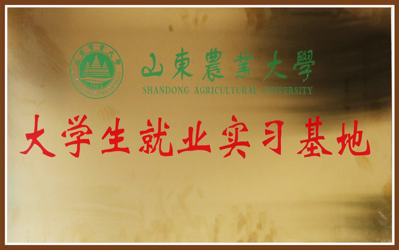 4008云顶集团|中国有限公司-官方网站